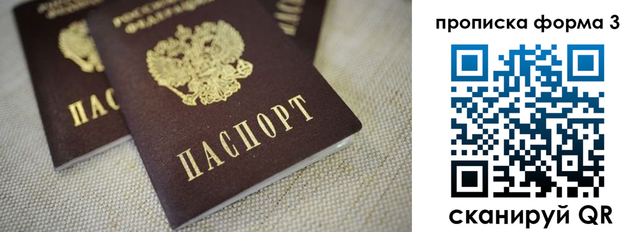 прописка поиск в Моршанске